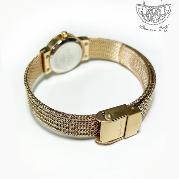 Skagen Rose Gold Stainless Steel Watch - Picture 4 of 5